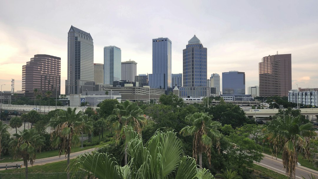 Tampa Bay waterfront skyline