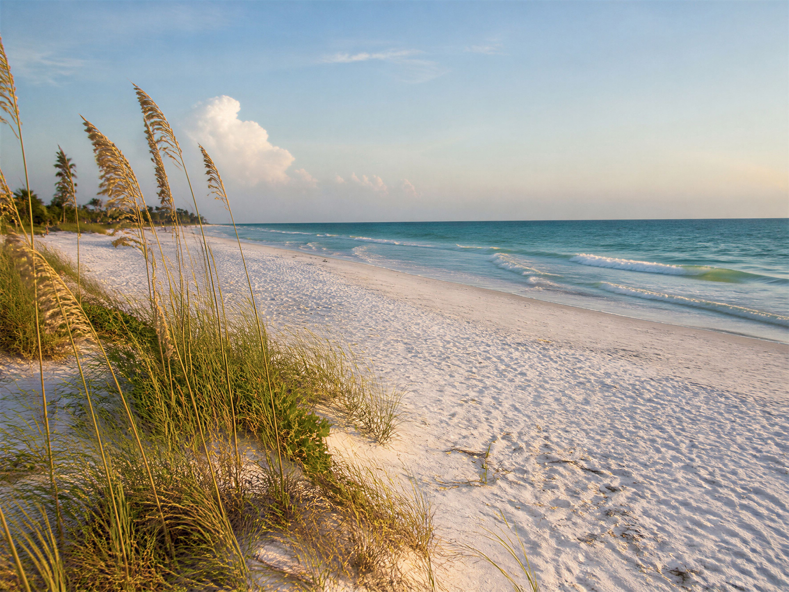 Sand Key Park